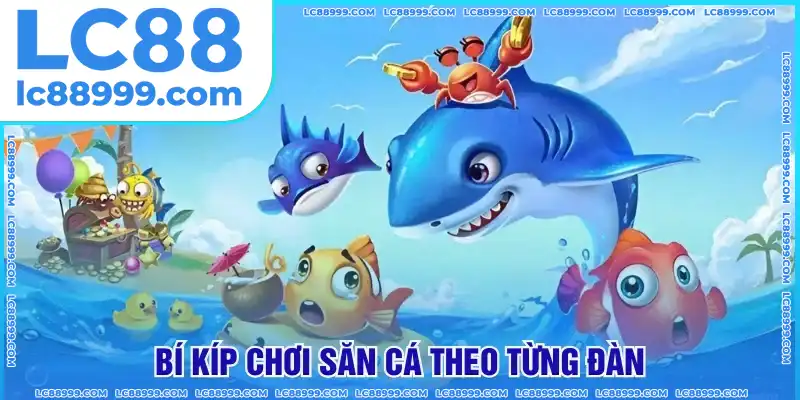 Chơi săn cá theo từng đàn