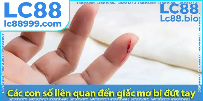 Các con số may mắn liên quan đến giấc mơ đứt tay đánh số mấy? Các con số may mắn liên quan đến giấc mơ đứt tay đánh số mấy? Hình ảnh minh họa các con số