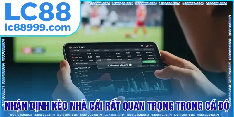 Nhận định kèo nhà cái rất quan trọng trong cá độ