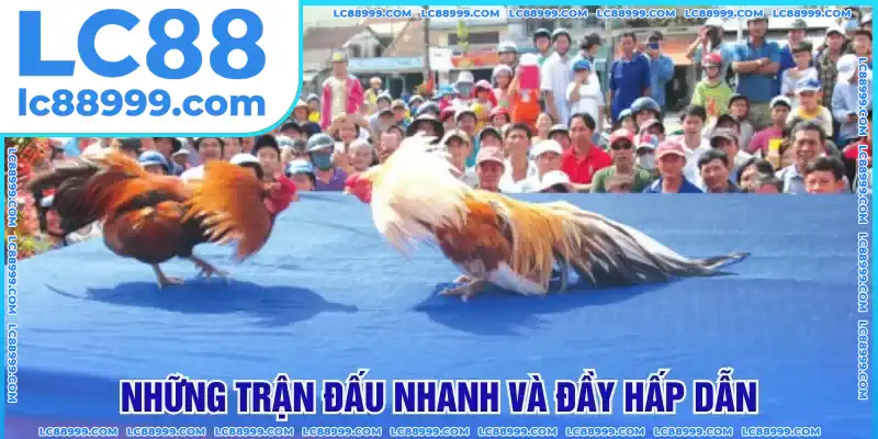 Những trận đấu nhanh và đầy hấp dẫn