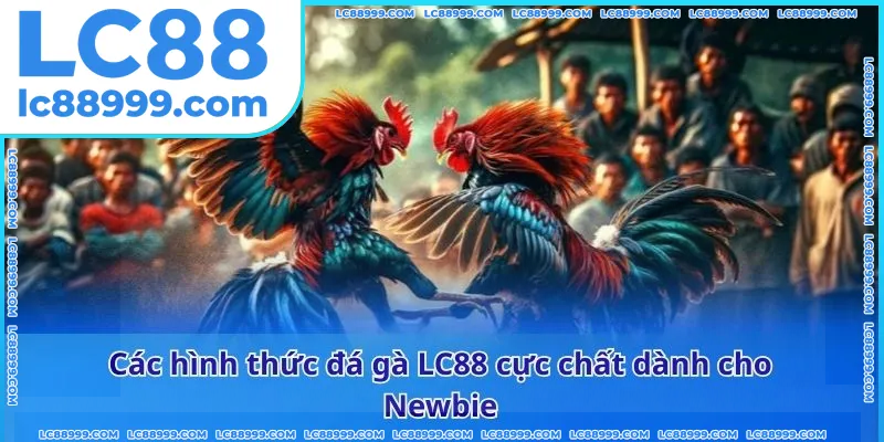 Các hình thức đá gà LC88 cực chất dành cho Newbie