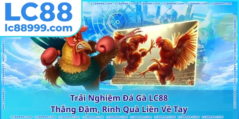 Trải Nghiệm Đá Gà LC88 - Thắng Đậm, Rinh Quà Liền Về Tay